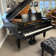 1915 Mason & Hamlin model A grand piano - Grand Pianos